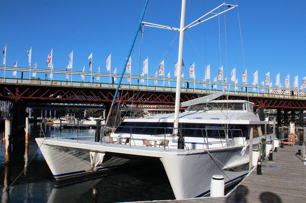 悉尼港遊船相片